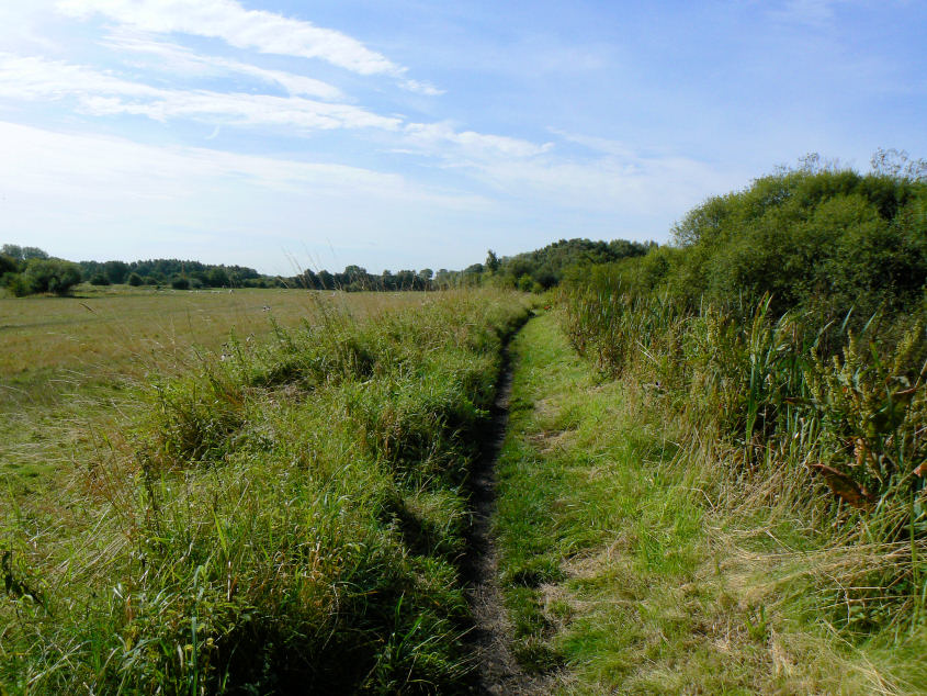 Canal Towpath Canal Towpath